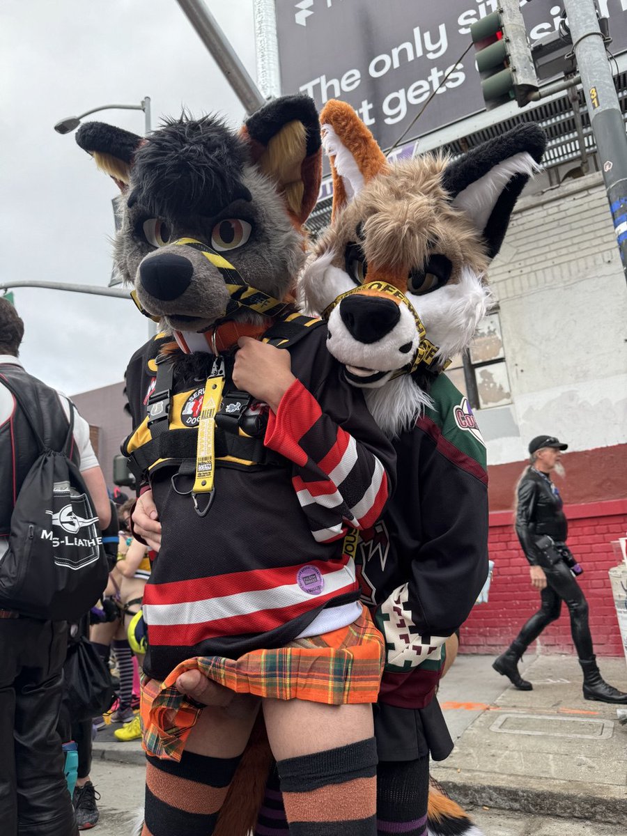 Tyler 🦊 🔜 Your MFF Bed tweet media