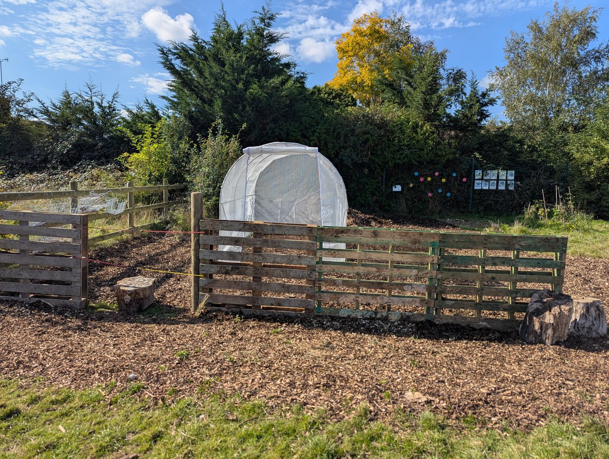 leeks_dan's tweet image. More progress on the new project today 🌳🌳