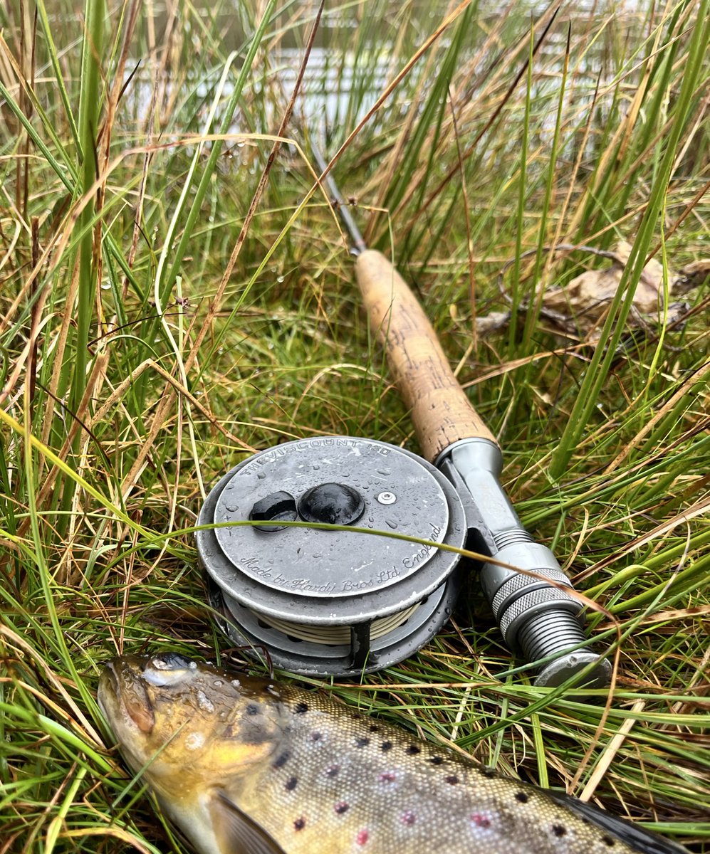 a quiet hunt

last day of the season / wild welsh brown trout