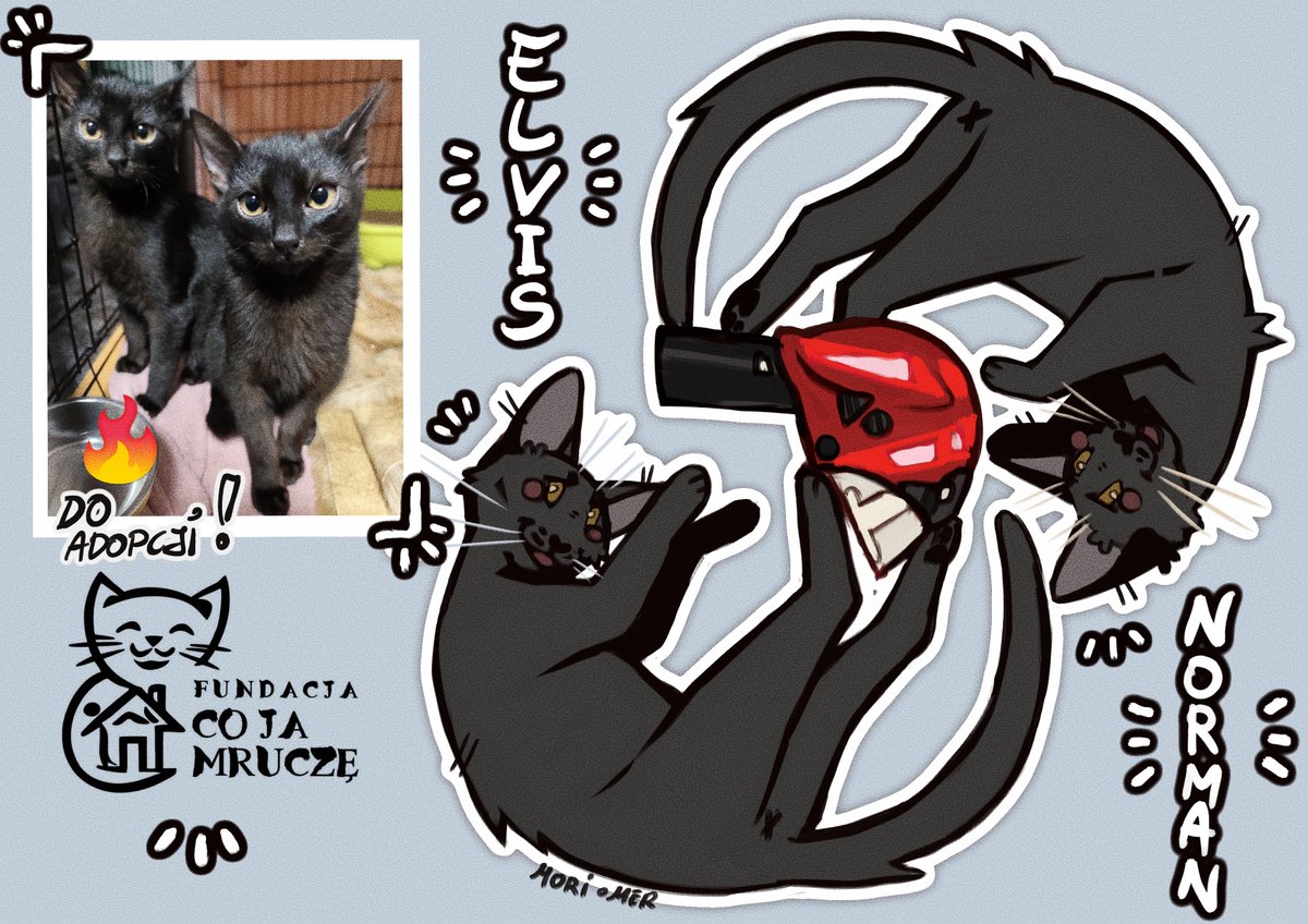 Promoting local kitties for adoption &lt;3