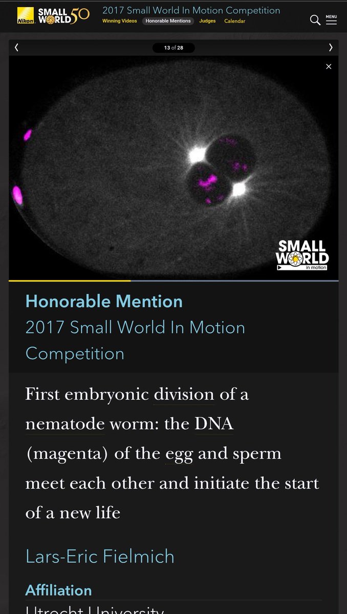 NicolasDSP tweet media