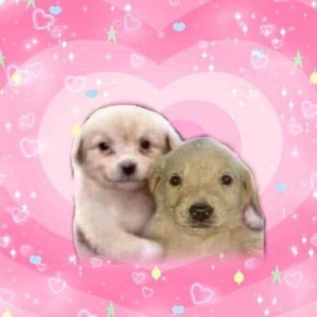 cardinales se viene su momento.. 👩🏻‍❤️‍👨🏻