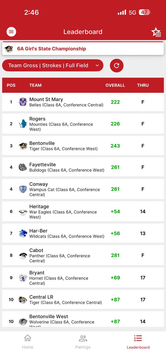 Maria Maray Ezzi tweet media