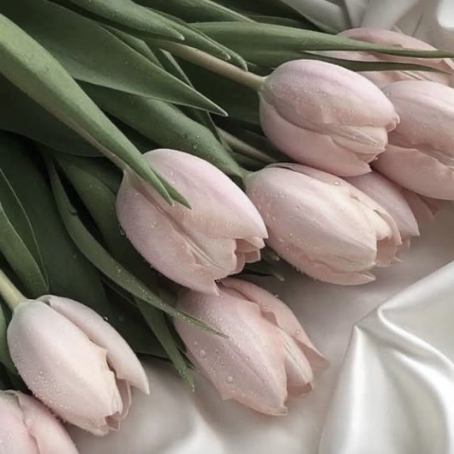 ๐ค๐
๐บ๐๐ ๐ ๐๐ผ๐๐พ๐๐๐ tweet media