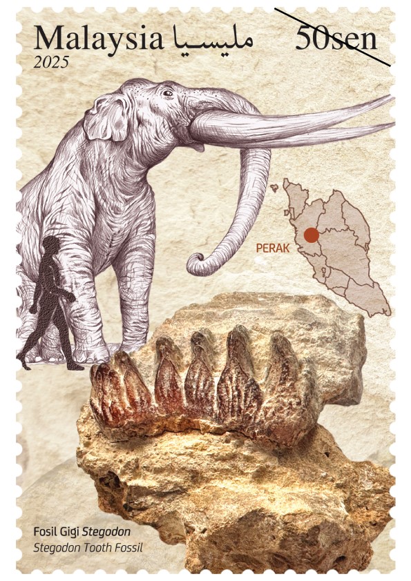 The #Stegodon tooth discovery recently published in PE (doi.org/10.26879/1432) has been commemorated with a stamp from Pos Malaysia! 

The map inset highlights the find's location in southern peninsular #Malaysia.

The reconstruction behind shows the animal behind the tooth!