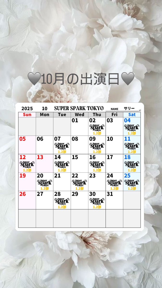 Sallyさま 専用ページ Sally🐯🤍SuperSpark (@Sallysuperspark) / Posts / X