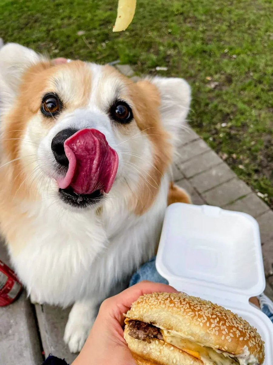 🍟🍔 you gonna eat that? 🤤🤤🤤 #tot #Tongueouttuesday👅