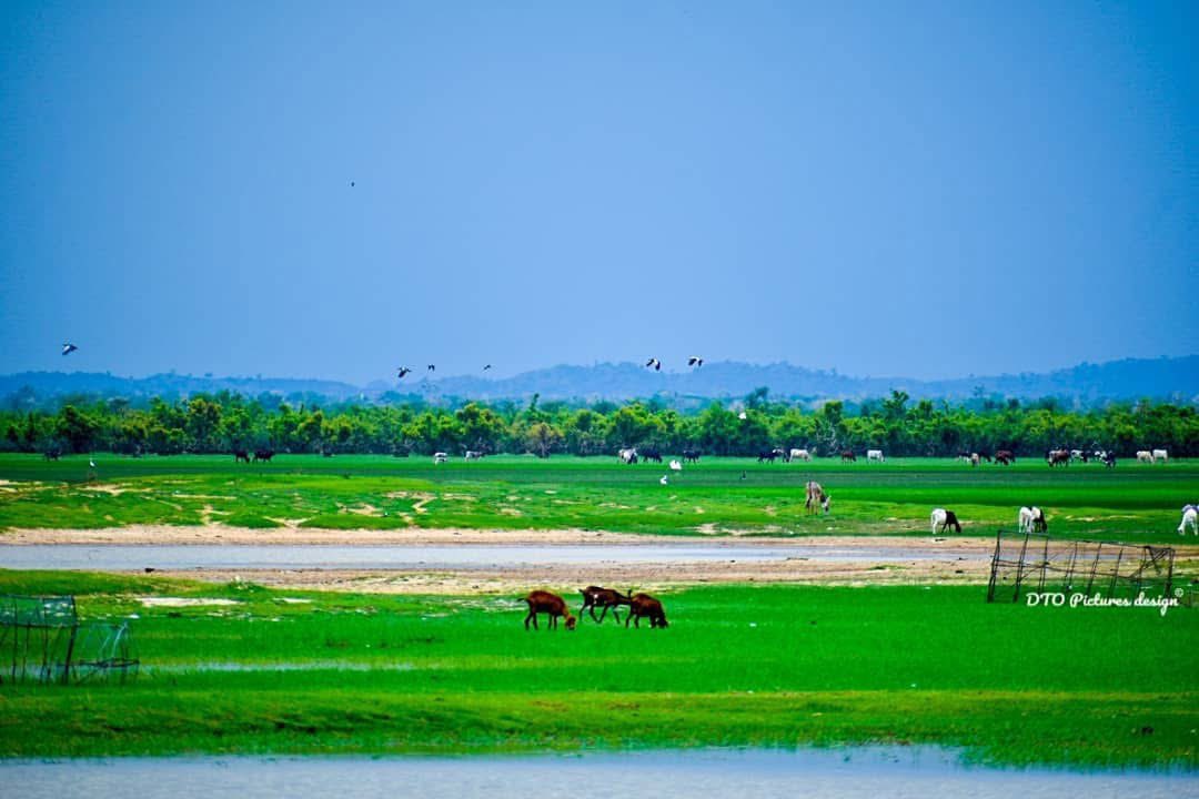 Visit_Burkina's tweet photo. 📍 Quelque part dans le Sahel burkinabè en temps de saison pluvieuse 
📍Somewhere in the Burkinabe Sahel in rainy season
📸: DTU-PICTURE https://t.co/69Mihe0vg3