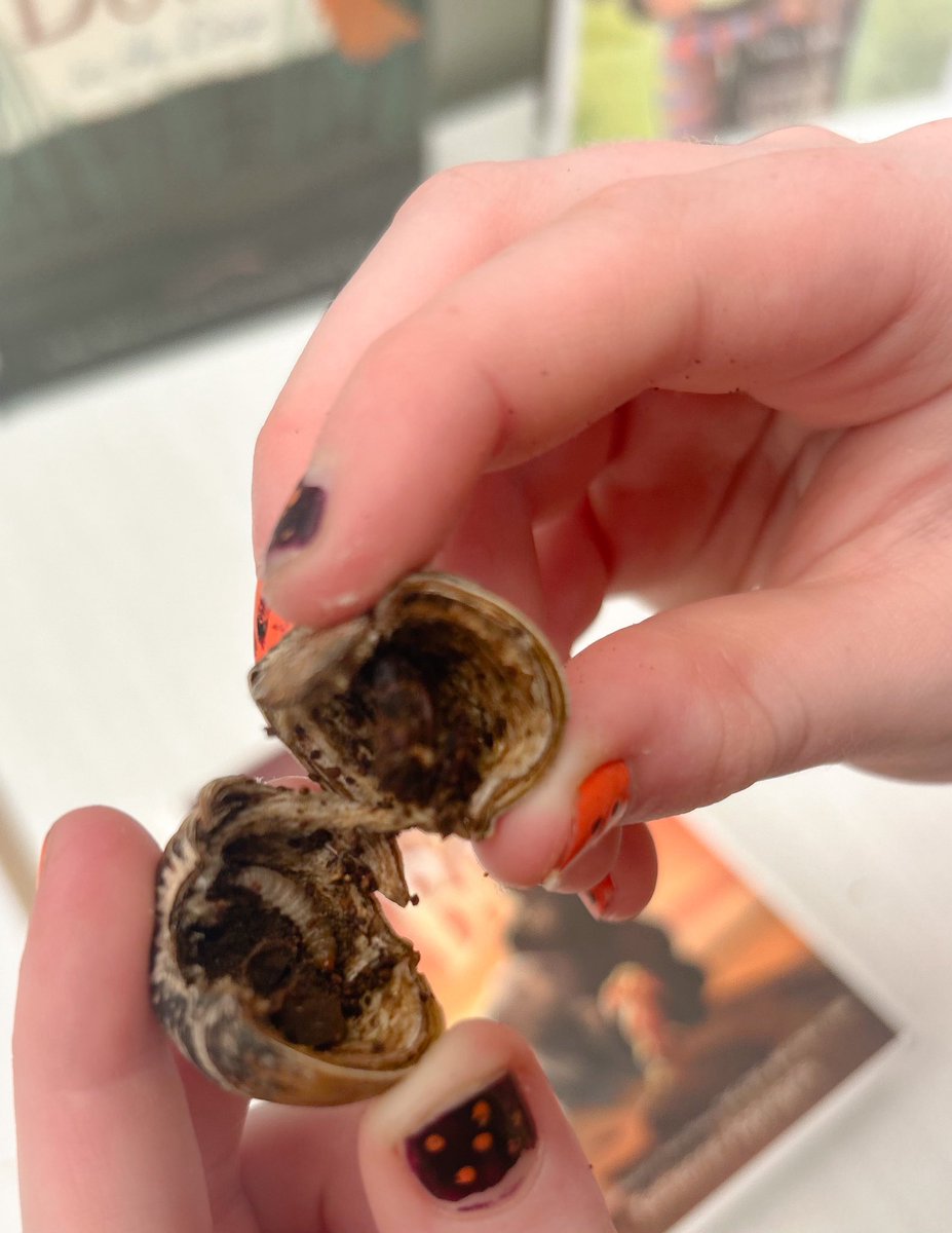 Taylor Scott tweet media