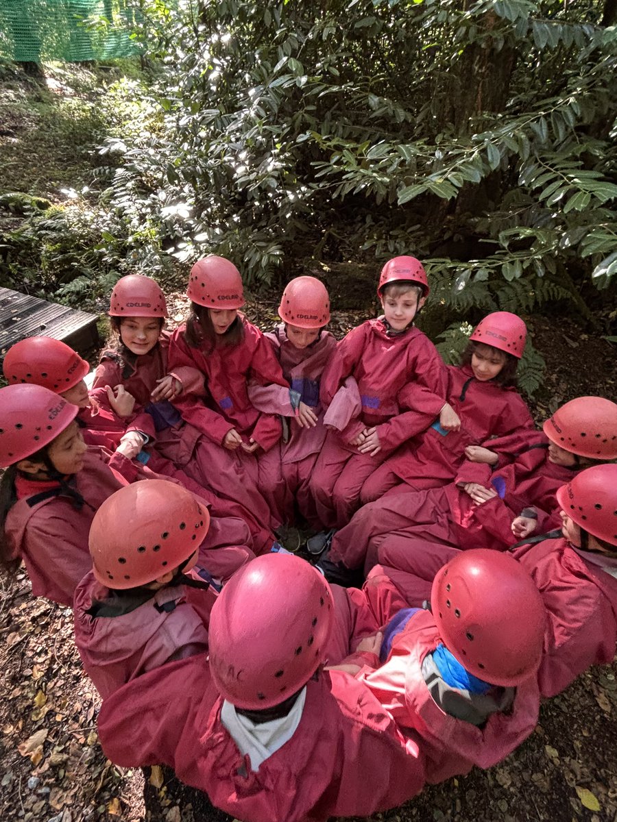 Stoke Hill Fed tweet media