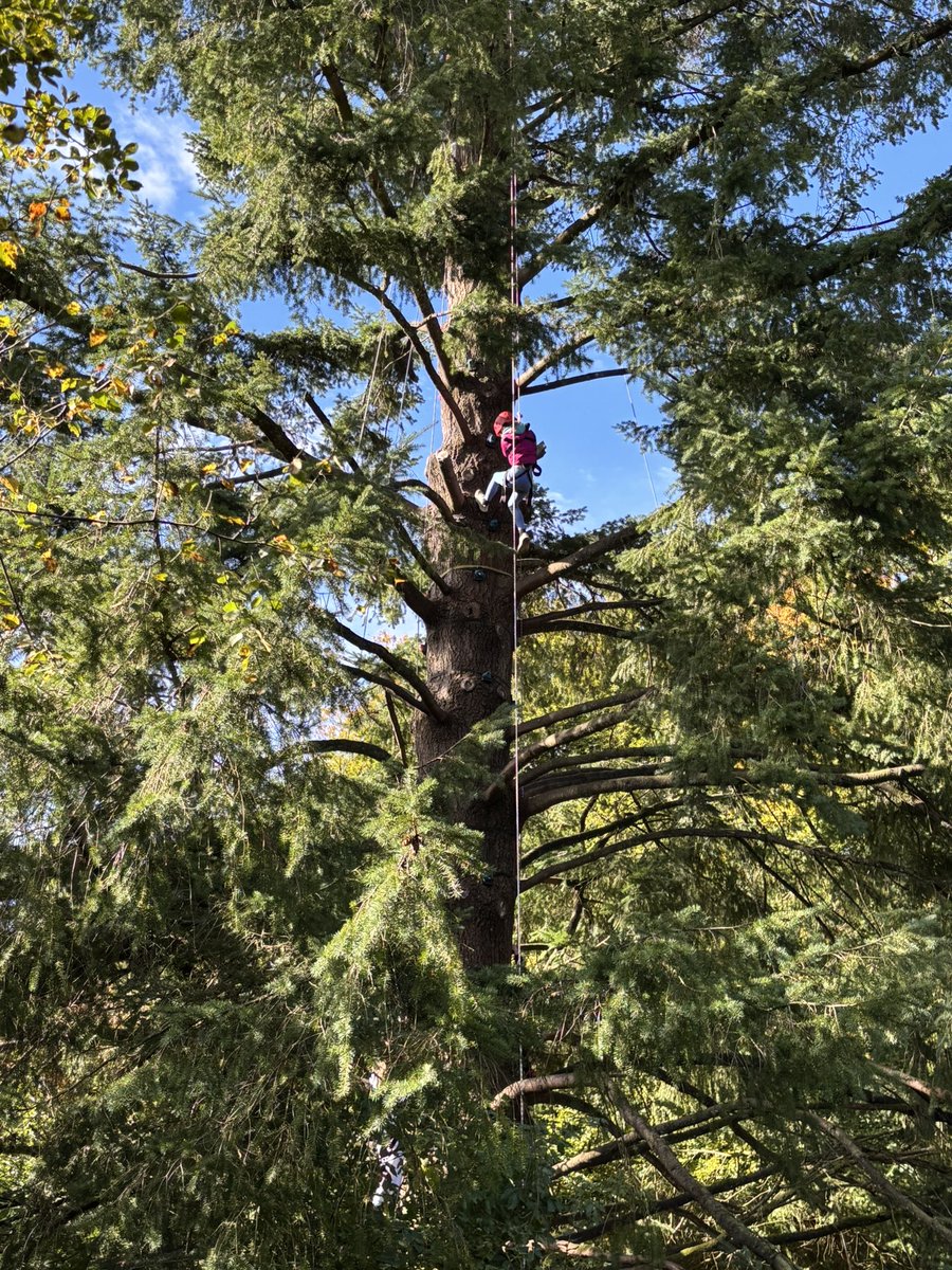 Stoke Hill Fed tweet media