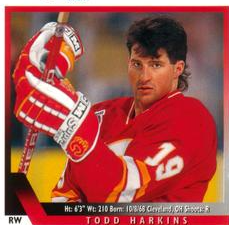 Vintage Hockey Showcase tweet media