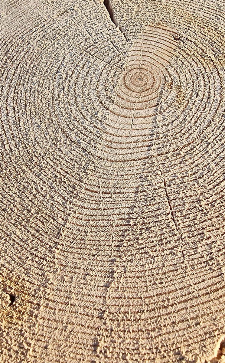 Melaine Le Roy tweet media