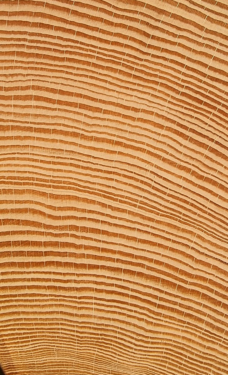 Melaine Le Roy tweet media