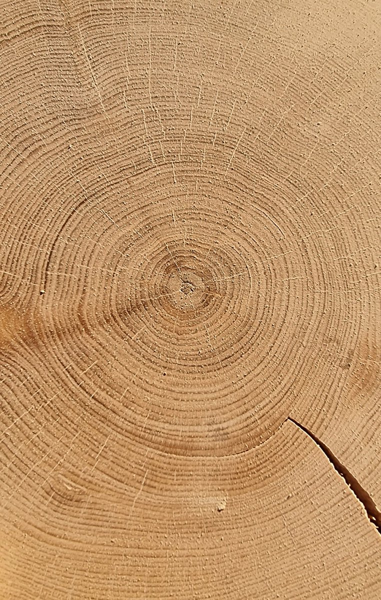 Melaine Le Roy tweet media