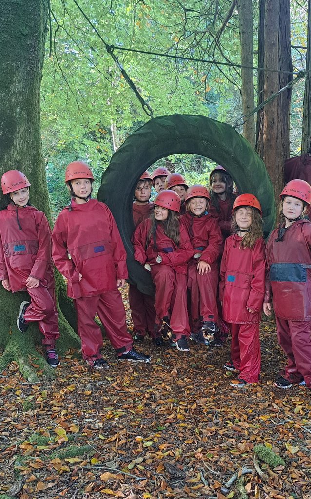 Stoke Hill Fed tweet media