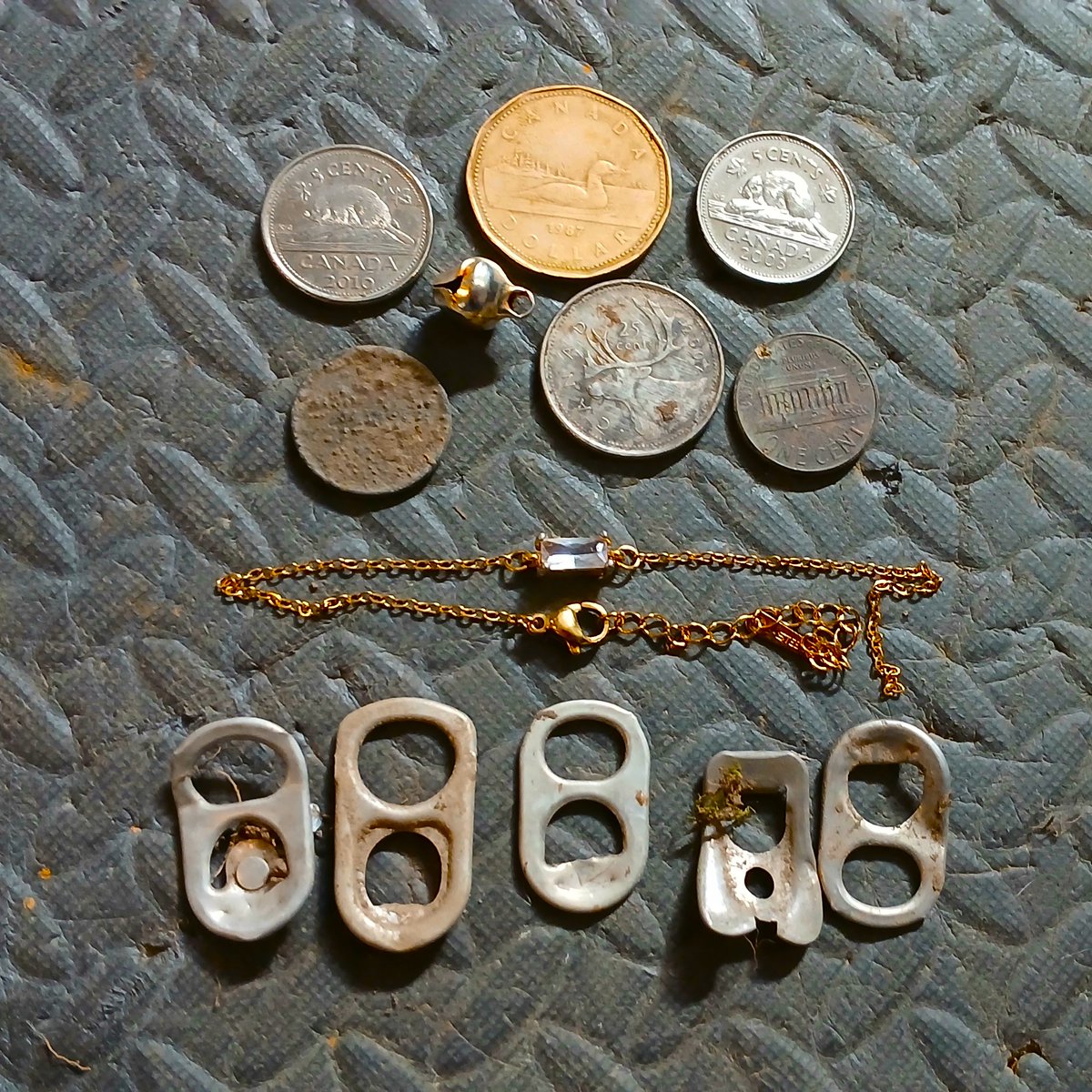 Digging Canuck "X" tweet media