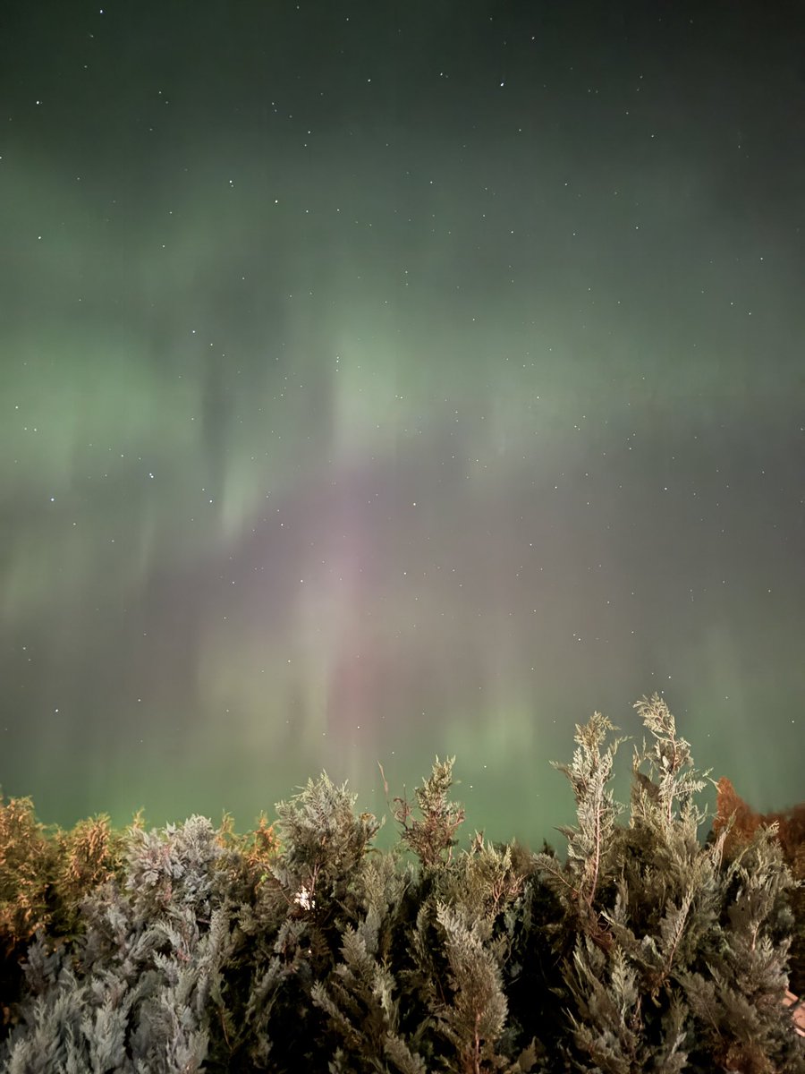 even the sky came through for tloas release week #TSTheLifeOfAShowgirl 

i seriously love aurora season like hello????