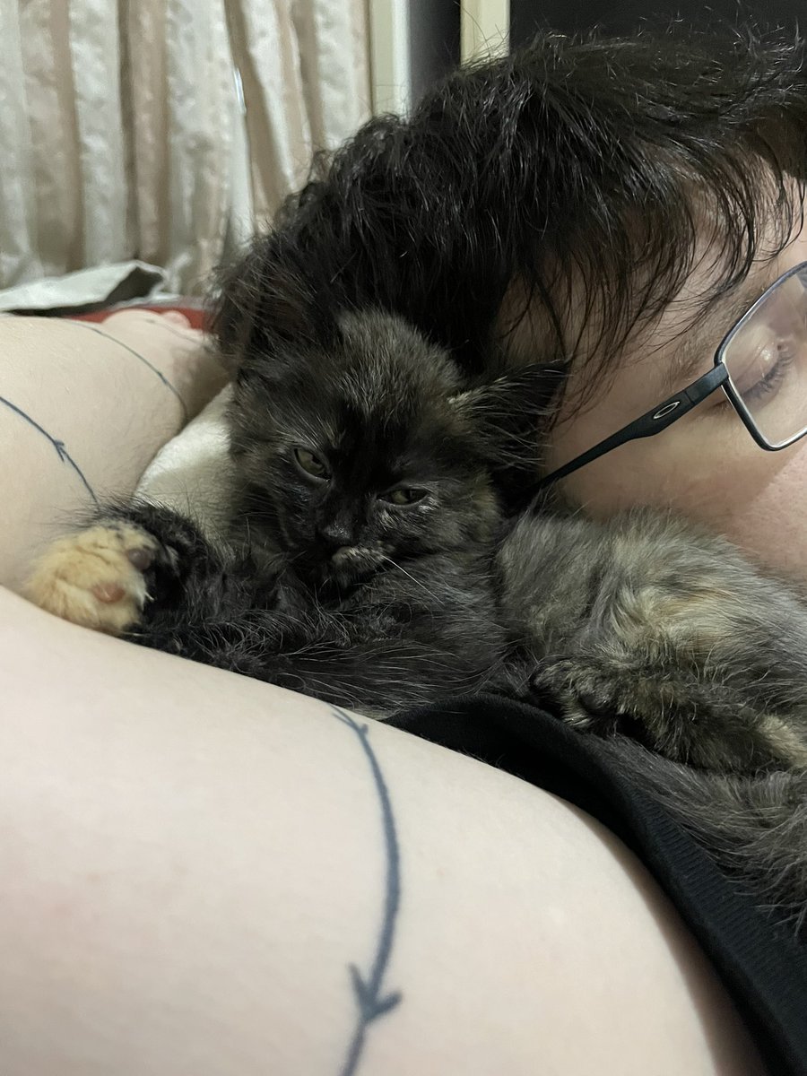 dxadly's tweet photo. Papais de Pet https://t.co/8r4UfxHnoV