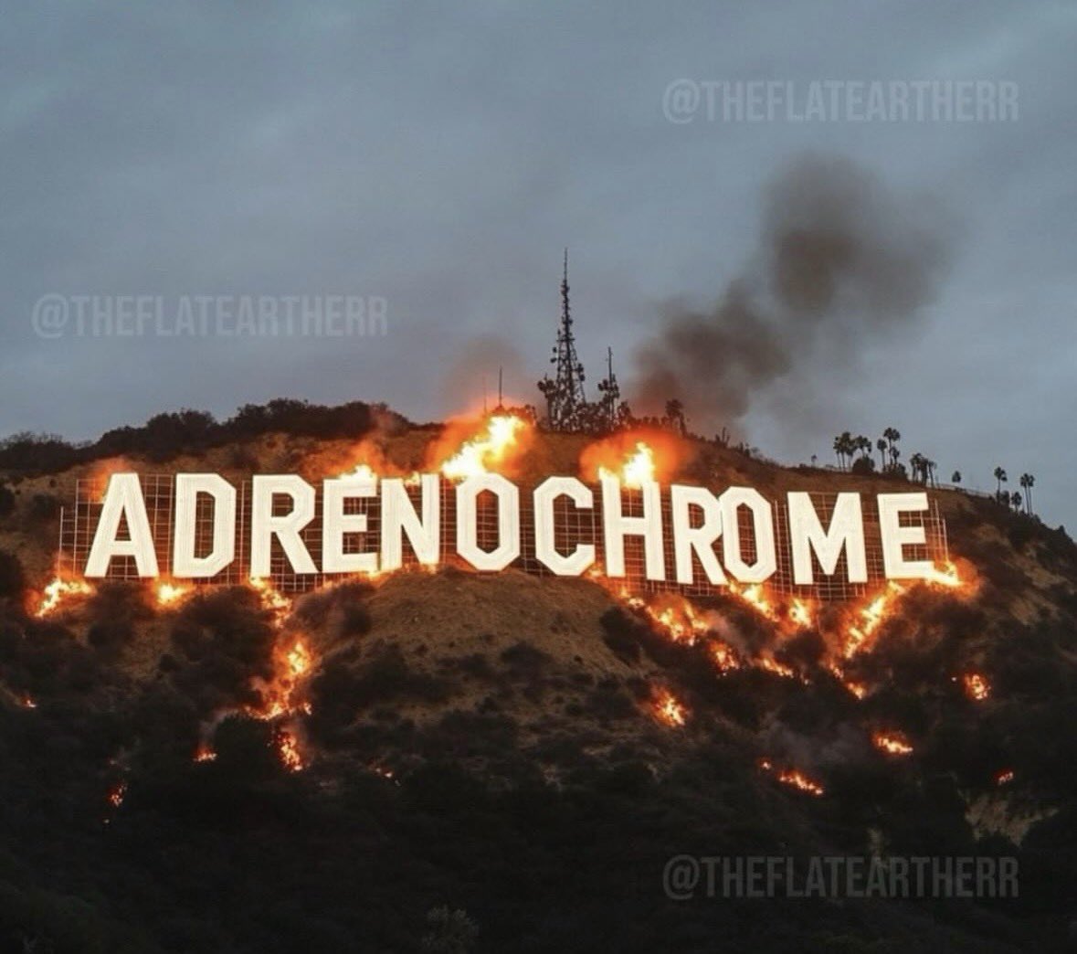 Are you ready for this rabbit hole?🔥🐰