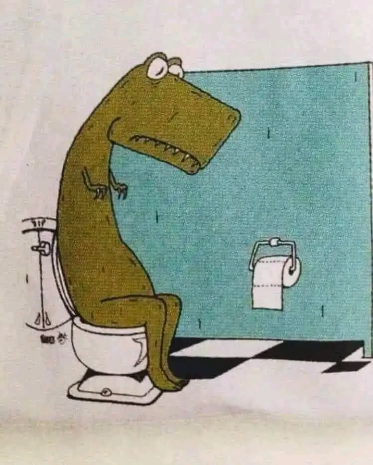 🤣🤣🤣🤣
