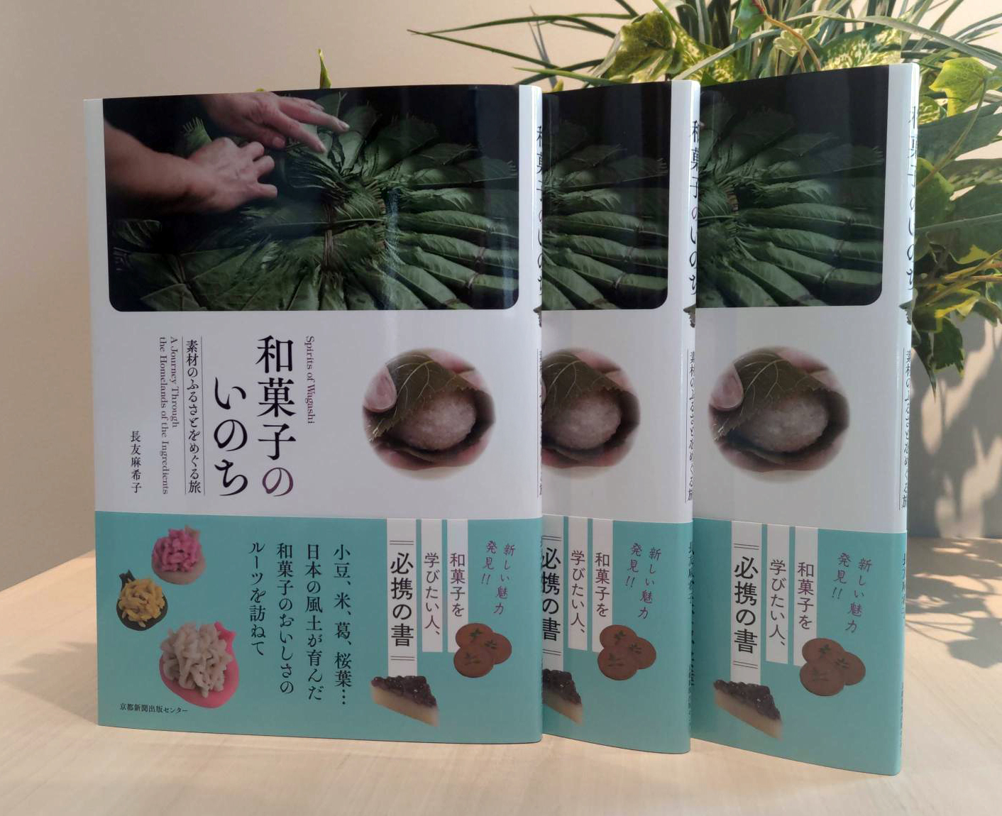 和菓子のいのち 和菓子のいのち Amazon.co.jp: いのち（アップル10個入） : 食品