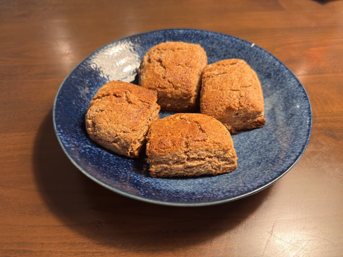 power_factor's tweet image. どんぐりスコーンとプレーンスコーン