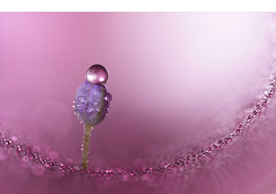 SonyStore_JpSpt's tweet image. ✨📷新製品NEWS📷✨
Gマスター初の中望遠マクロ登場!
『FE 100mm F2.8 Macro GM OSS』
🔍最大撮影倍率1.4倍&高解像✨
🗓発売:11/21(金)
👀先行展示:10/3(金)
🛒予約開始:10/7(火)10時~
高い解像性能と美しいぼけ描写で、
花や小物、ポートレートやウェディングにもぴったり💍
詳細▶…