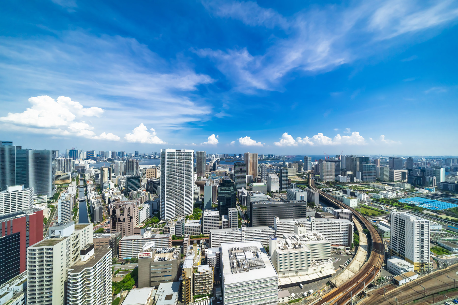 ペテンシー型青白天門 (オリジナルとアドバンス両方対応) ペテンシー型青白天門 (オリジナルとアドバンス両方対応) 2025年