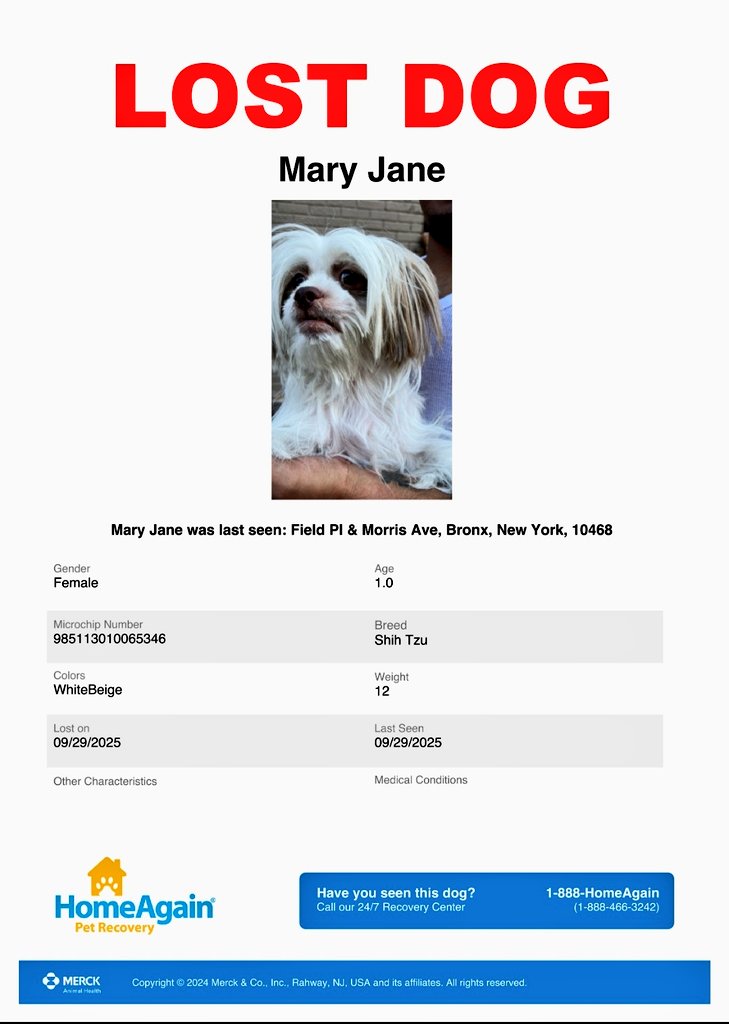 MeowMiya88's tweet image. 📢🇺🇲🗽🆘️💔⏳🚨🐶😿Please RT to find Mary Jane #NYC #lostdog #Missingdog #Bronx #dogsoftwitter #DogsOfX @HAPetRescuer