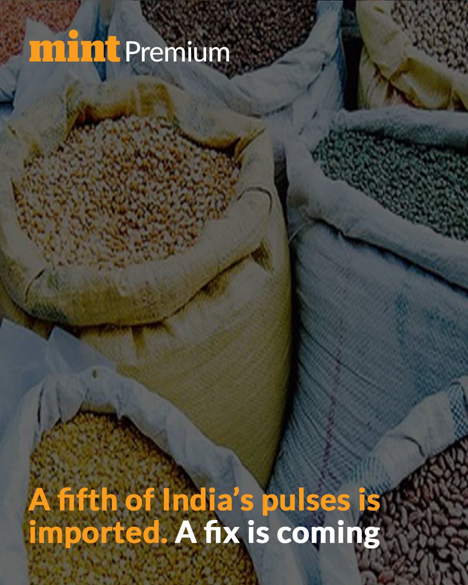 livemint's tweet photo. Imports meet a fifth of India’s pulses demand as domestic output lags. The government is planning early-harvest tur varieties to boost supply and stabilize prices.

Read in detail 👇
https://t.co/9NSwMg3oYw

Trust our hard work, subscribe to #MintPremium with: https://t.co/Qg3AmYwMRn⚡️ 

@vijaycroy ✍️