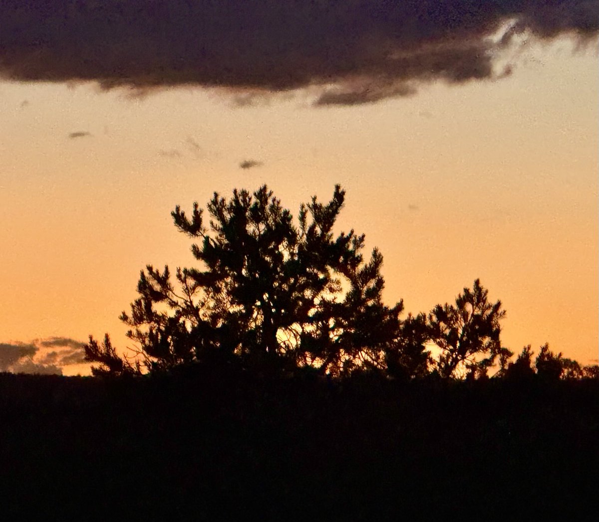 Even in the waning light and the darkness there is beauty and hope.