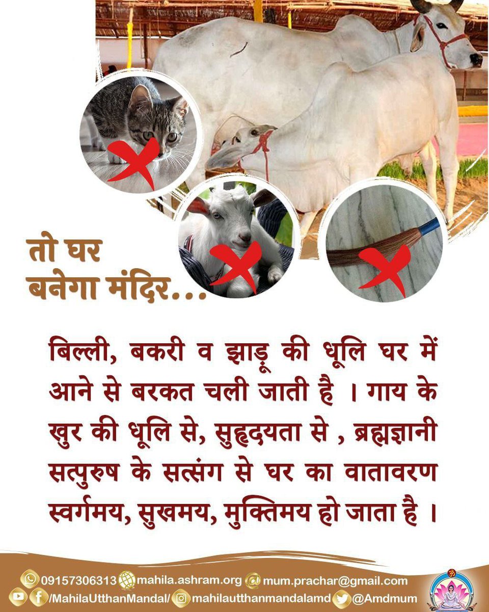 बिल्ली, बकरी व झाड़ू की धूलि घर में आने से बरकत चली जाती है। #गौमाता के खुर से उठने वाली धूलि से, सुहृदयता से, ब्रह्मज्ञानी महापुरुष के सत्संग से घर का वातावरण स्वर्गमय, सुखमय व मुक्तिमय हो जाता है ।

#SaveDesiCow