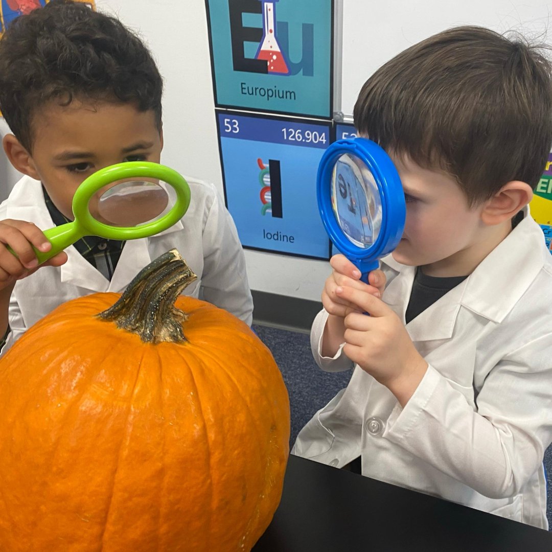 ie_stem's tweet image. Fall Harvest & Apples Week is keeping us busy!
Our little learners explored a sensory bin of colorful leaves & apples, weighed apples, talked about their life cycle, and even collected leaves on a nature walk!
#PreschoolFun #FallLearning