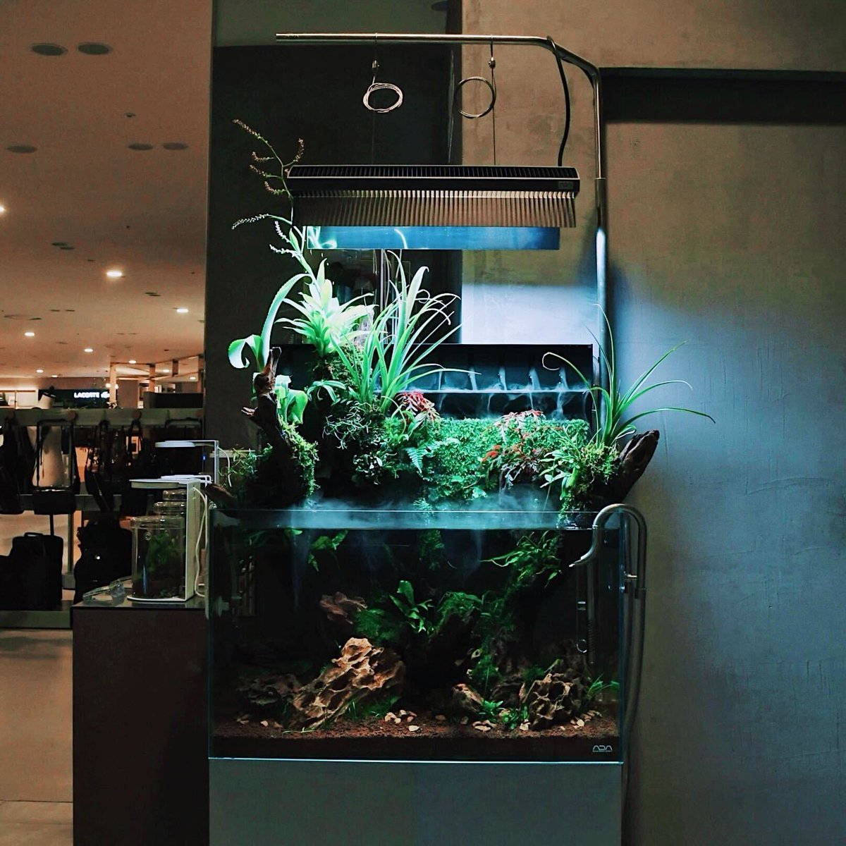 ada_lab_umeda's tweet image. DOOA PRODUCTS
：MIZUKUSA MIST WALL 600

佗び草マットや佗び草を利用することで、壁面状に水草の水上葉が展開し、自然感あふれる情景を楽しむことができるADA独自の水草育成システムです。

ADA LAB UMEDAにて展示・販売中。

#adalab #adalabumeda #ada