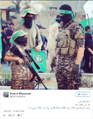 Mitch F. 🇺🇸🇮🇱🐊🌲 tweet media