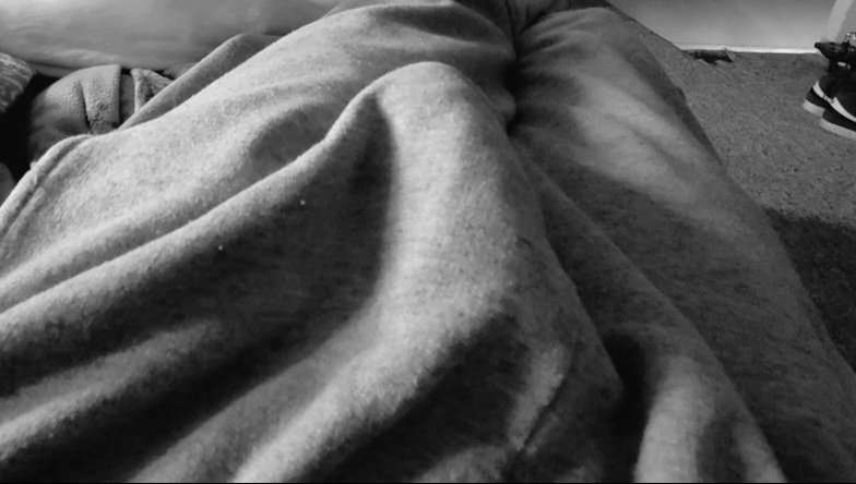 Would you cuddle up with your partner while he watched a TV show or movie you didn't care for if he was wearing Grey's, looking like this as he was minding his own business? What would you do if you noticed his 3rd leg?....