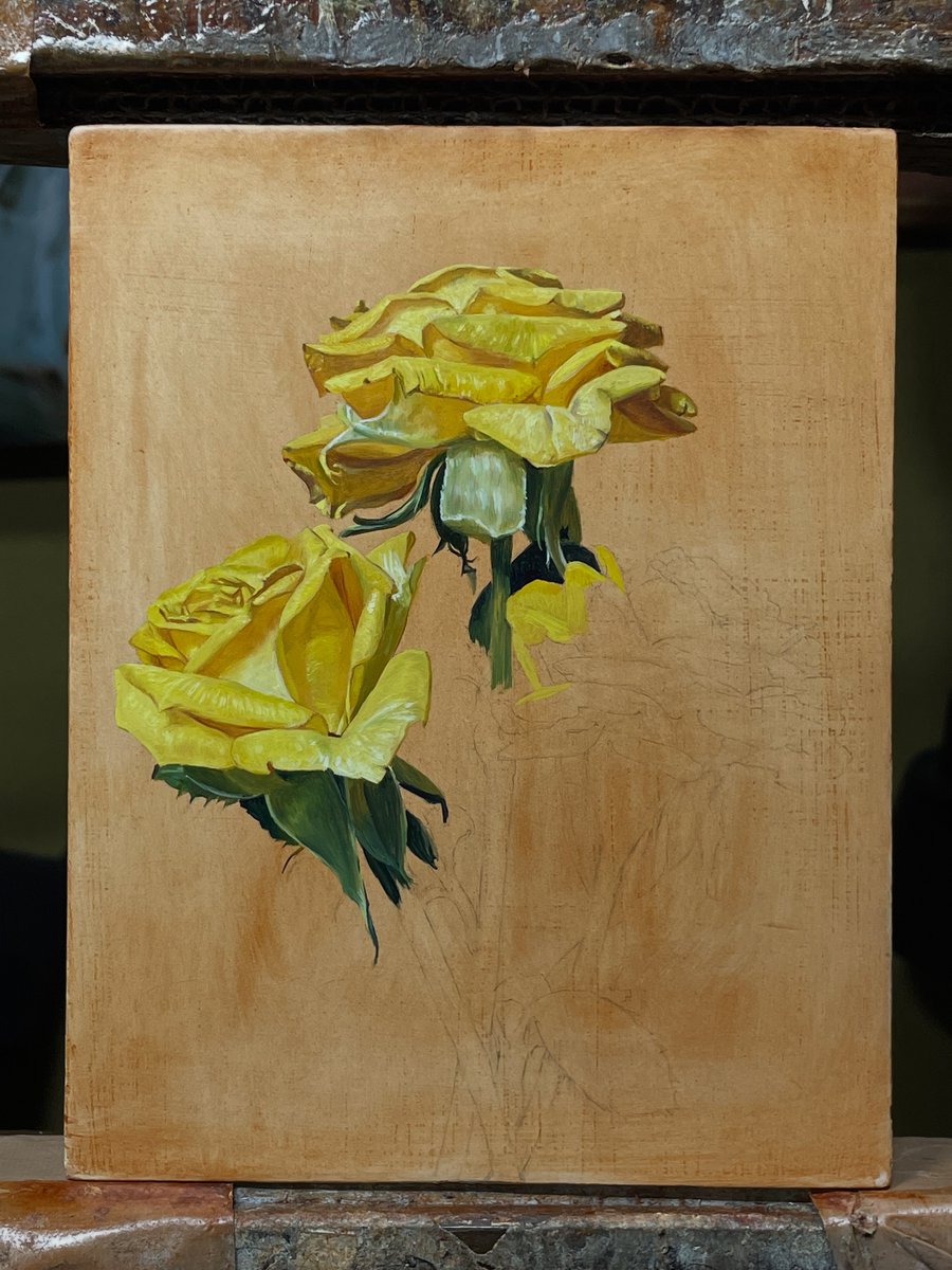 バラ絵画 ブラチスラバ世界絵本原画展 2022–23 絵本でひらくアジアの扉