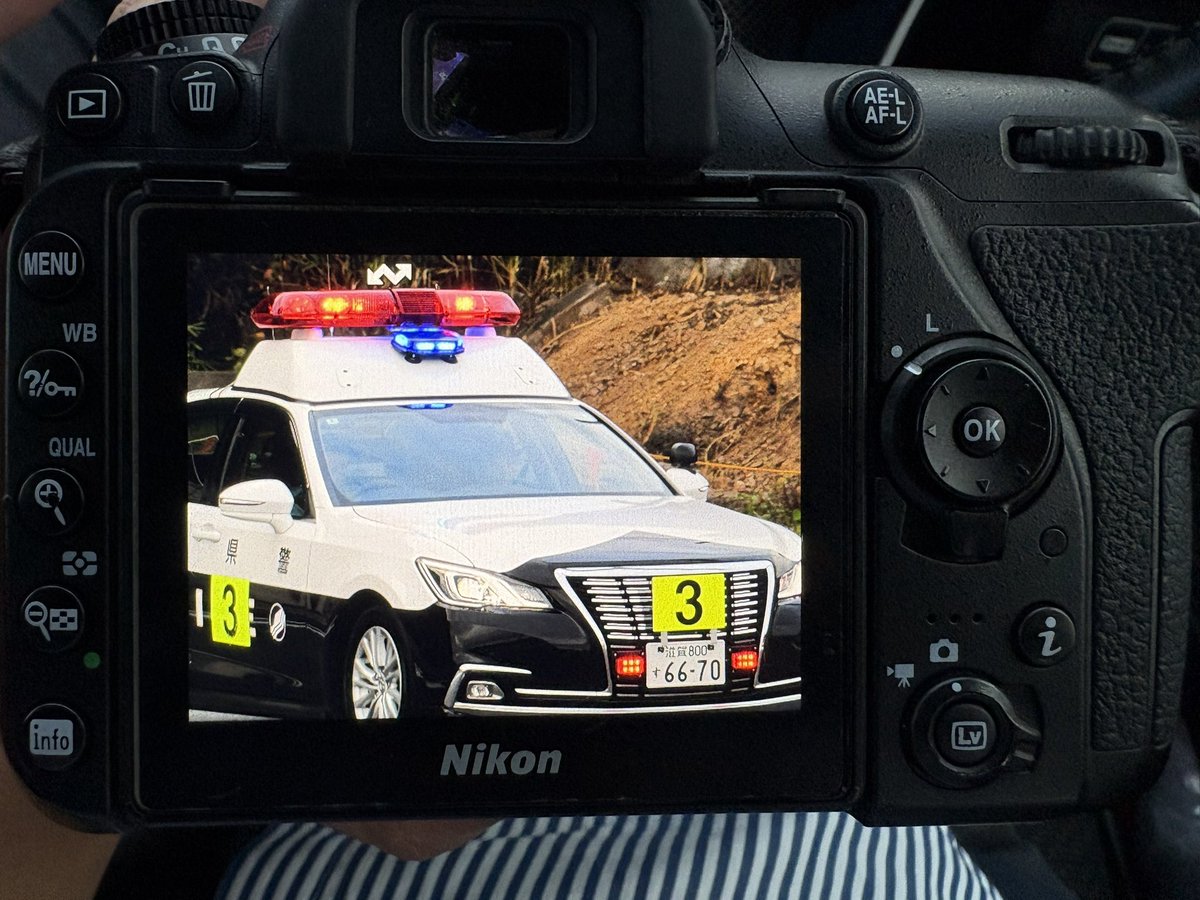 久しぶりに撮りに行きました