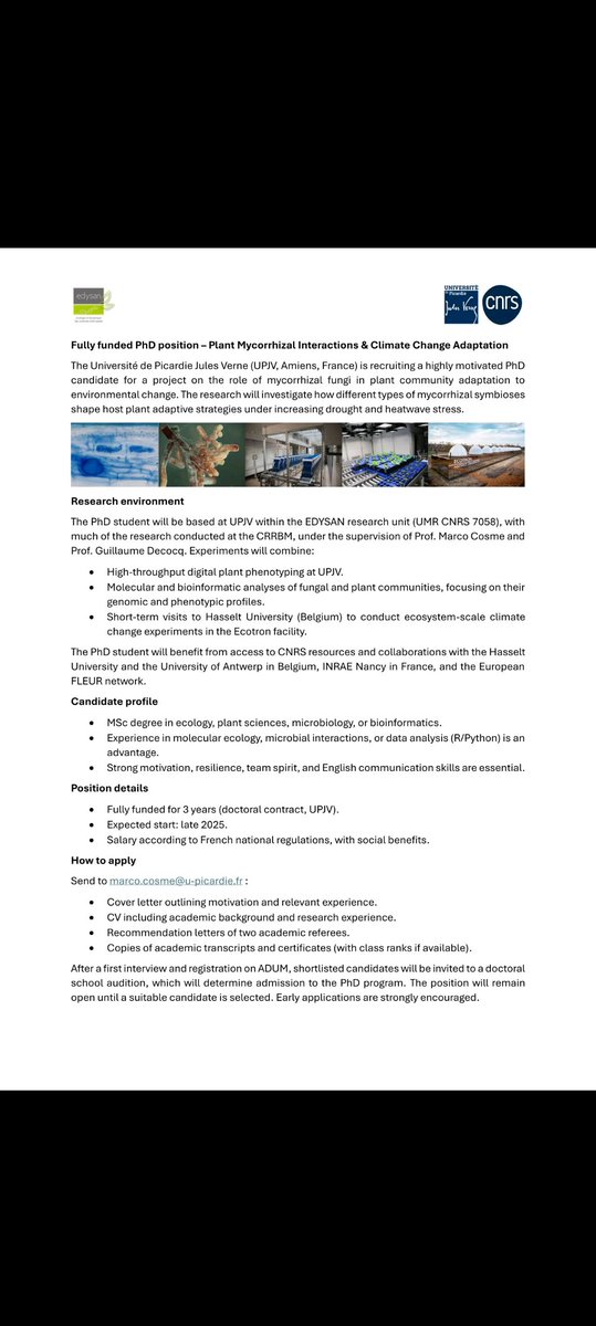 Graduate positions.
<a href="/matajson/">Oluwaseun Ajayi, Ph.D. 🇳🇬 🇺🇸</a> <a href="/Ahmypeace/">Amaka Peace Chiemezie</a> <a href="/adedoyeean/">Ade</a> <a href="/anifel20/">Felo Anifel</a> <a href="/Kayodeoshinubi/">K.O.</a> <a href="/Olu_Jumob/">Oluwole Òtègbèmí</a> <a href="/olumuyiwaayo/">Olumuyiwa Igbalajobi, Ph.D</a> <a href="/particular6/">Adelabu</a> <a href="/Kayodeoshinubi/">K.O.</a>
<a href="/TSAdedara/">Toyosi Stephen Adedara</a> <a href="/SamdGreat01/">Samuel Ajayi, PhD 🇳🇬🗣️🌐</a>