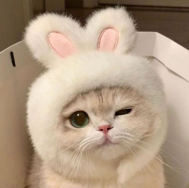 มอนิ่ม~ เช้าตุลาคมวันแรกที่สดใส(?) 💪🏻✨

Oct wish 🍁
ขอให้เดือนตุลาคมนี้เป็นเดือนที่เต็มไปด้วยความอบอุ่น ทุกสิ่งที่ลงมือทำขอให้สำเร็จตามที่หวัง พบเจอผู้คนที่น่ารักและจริงใจ
ขอให้สุขภาพแข็งแรง ทั้งกายและใจ
และขอให้ทุกวันมีเรื่องที่ทำให้ยิ้มได้นะคะ 🫶🥺