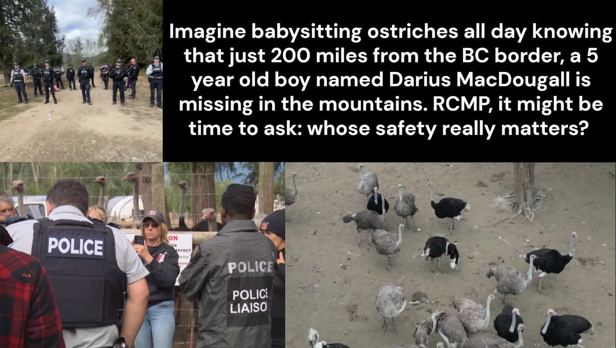 silkweaver7's tweet photo. @anonfmresident @DonaldBestCA But we should use drones to harass and #abuseanimals at the #ostrichfarm instead of search for a missing child? And collect OT to harm #ostriches while doing it? Letโs not forget their 3 fires in a week. Itโs not just #RCMP #CFIA who need psych evals, govt leadership does too. https://t.co/6RXIbynMxd