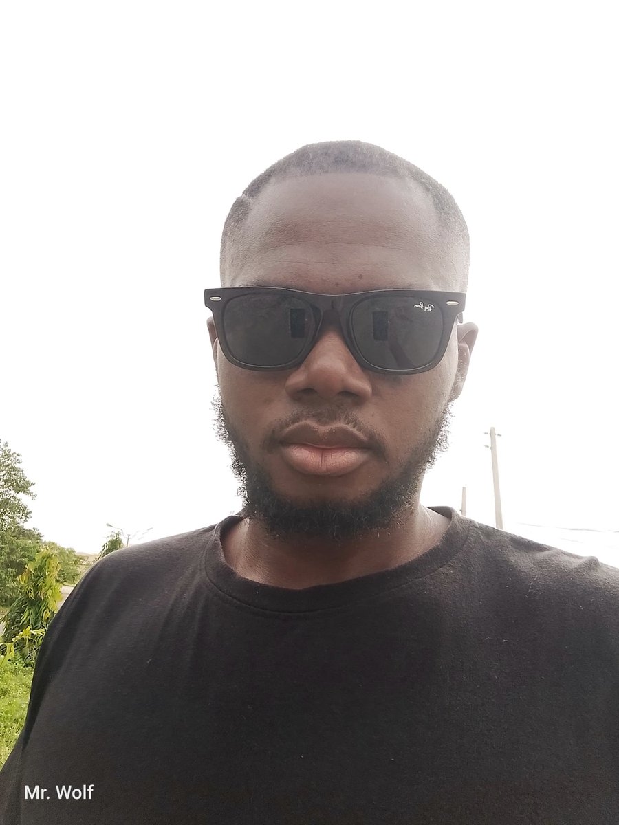 mrwolfng's tweet image. Mr. Wolf