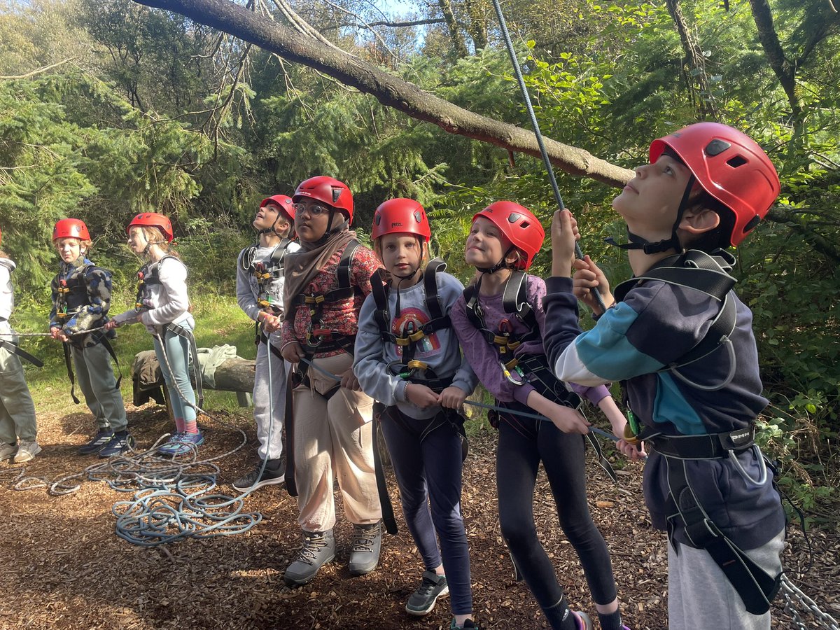 Stoke Hill Fed tweet media