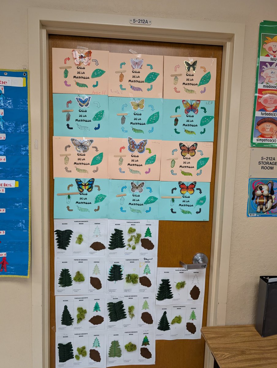 ⚓️Dr. Jennifer George⚓️ (@apjengeorge) on Twitter photo Science in our 4th grade dual language classes <a href="/COTaylor_PBC/">COTaylor_Kirklane Elementary</a> ! <a href="/Wises77Susan/">Susan Wise</a> <a href="/OrlandoMastrapa/">Orlando Mastrapa</a> Science in our 4th grade dual language classes <a href="/COTaylor_PBC/">COTaylor_Kirklane Elementary</a> ! <a href="/Wises77Susan/">Susan Wise</a> <a href="/OrlandoMastrapa/">Orlando Mastrapa</a>