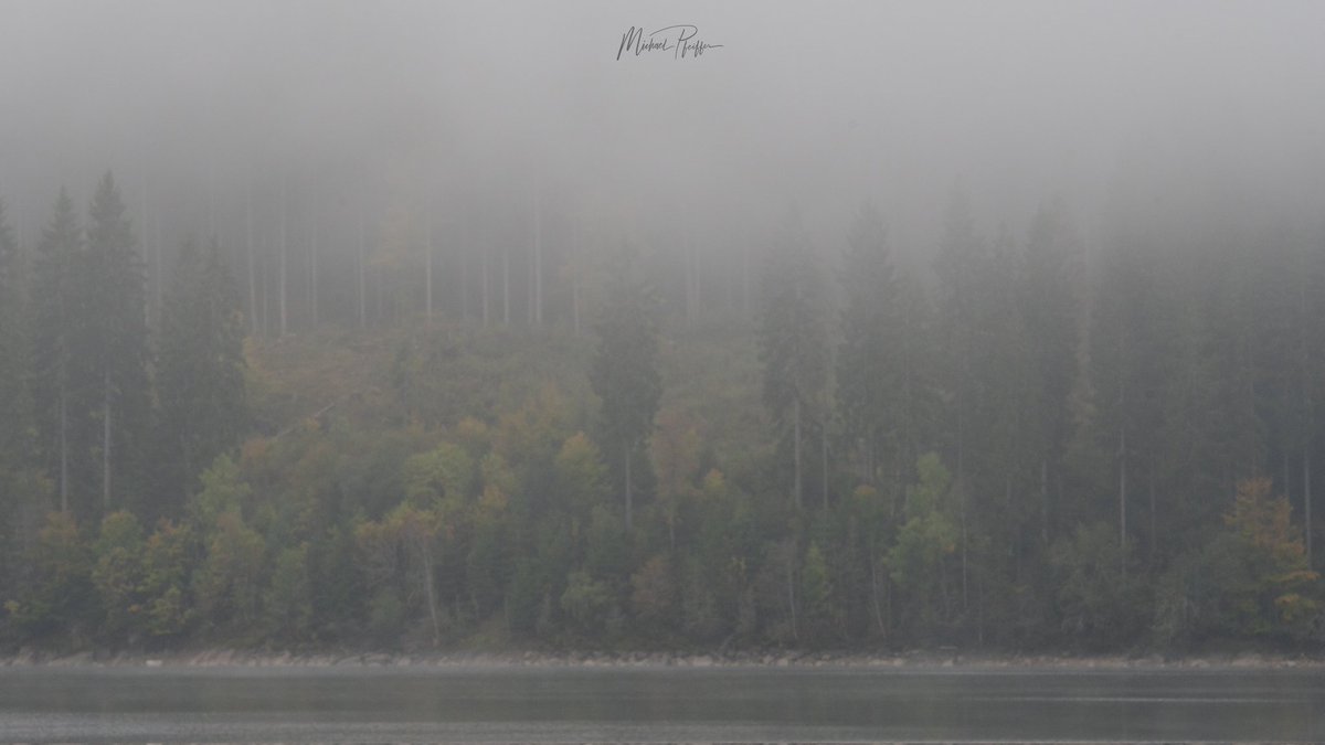 Foggy sunday morning at the #Schluchsee in the #blackforest