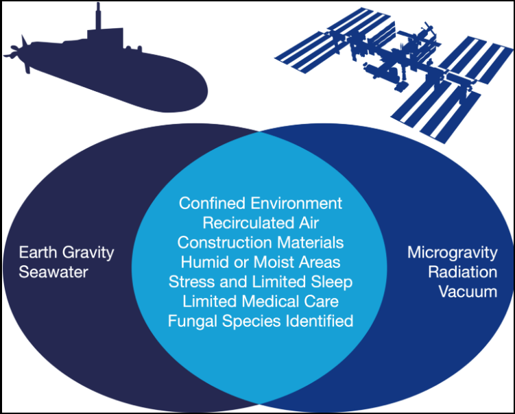 mbiojournal's tweet photo. Submarines and spacecraft share conditions that support fungal growth, like moisture, confined spaces, &amp; recycled air. This new #mGem introduces submarine mycology &amp; explores how studying fungi in subs can inform #astromycology. https://t.co/wiVSgPZqQw #mycology #spaceflight https://t.co/40Aoj1BByB