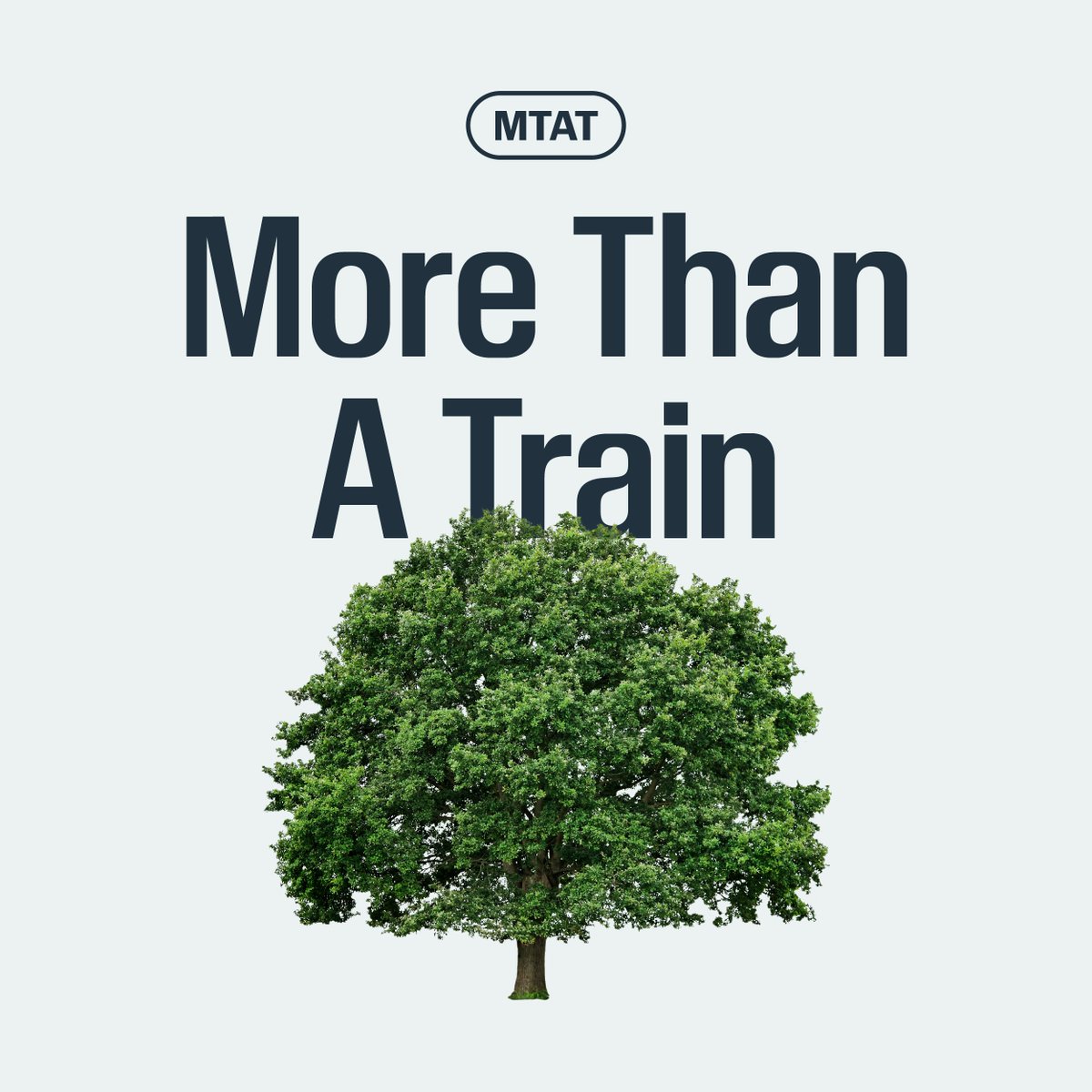 Austin's new light rail design will feature tons of shade trees and native Texas plants.

#YallAboard
#AustinLightRail
#ATX