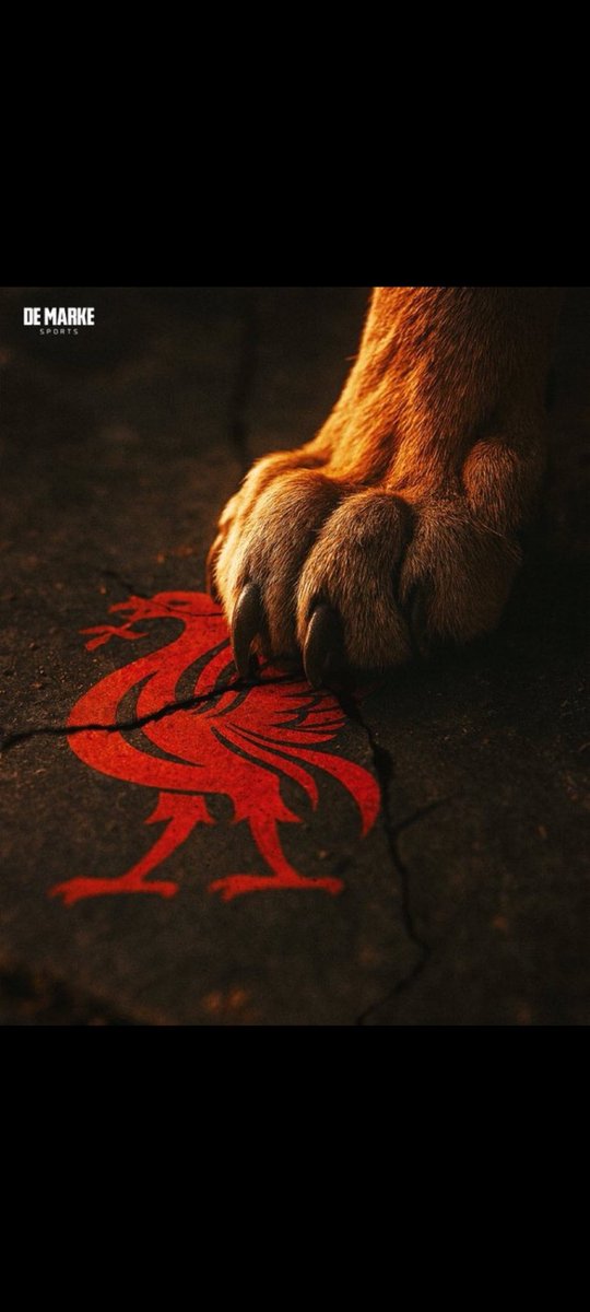 mertcdag's tweet photo. The Bird Hunter....#GSvLIV https://t.co/AMHZekcRUM