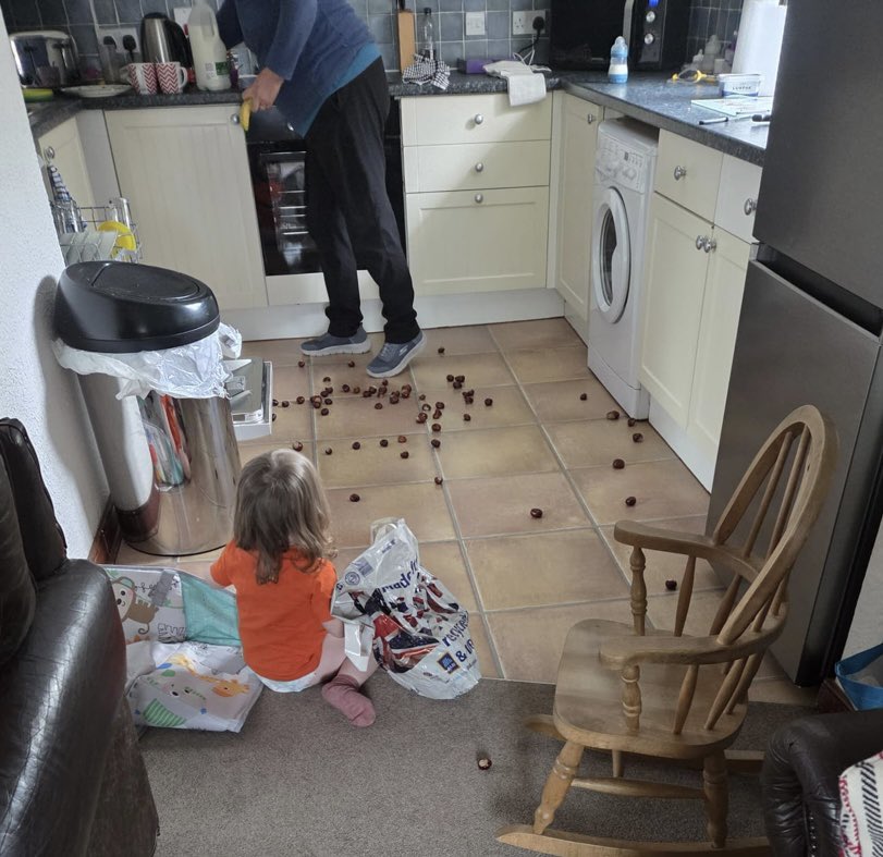 hselftax's tweet photo. @seatedskydiver #NotAllChildren
These were the c100 conkers my 2yo granddaughter collected in the park last week, and scattered all over the kitchen floor. https://t.co/Otyx6cXSTI